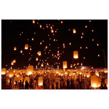 lights, fireworks and hennilovesleo