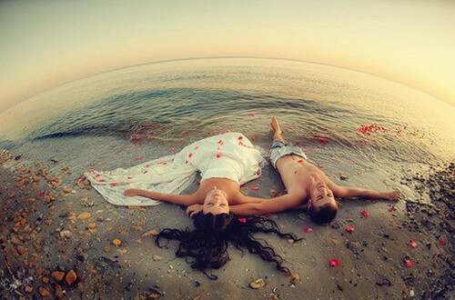 petals, pretty and ocean