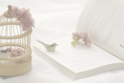 page, cute and pink