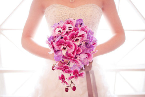 beautiful, fashion and gown