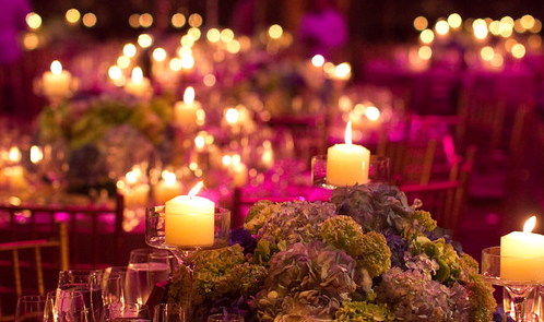 amazing, flowers and beautiful