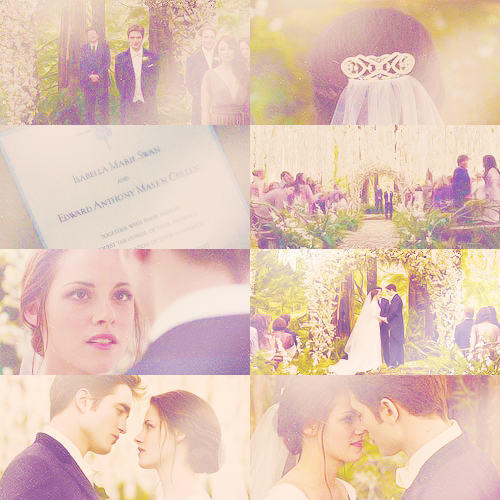 bdpt1, twilight and breaking dawn