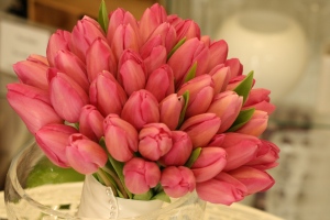 roses, random and beautiful