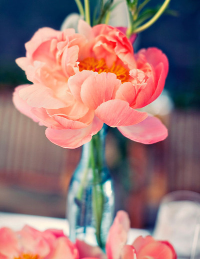 bride, reception and table