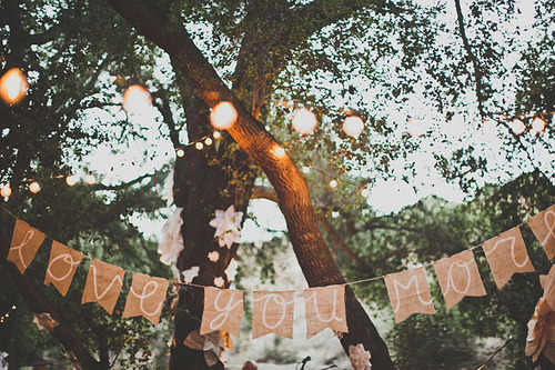 photography, trees and couple