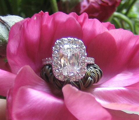 flower, garden and bling