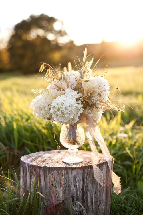 pastel, photography, white and flower