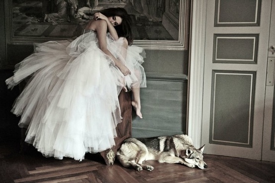 beauty, wolf and dress