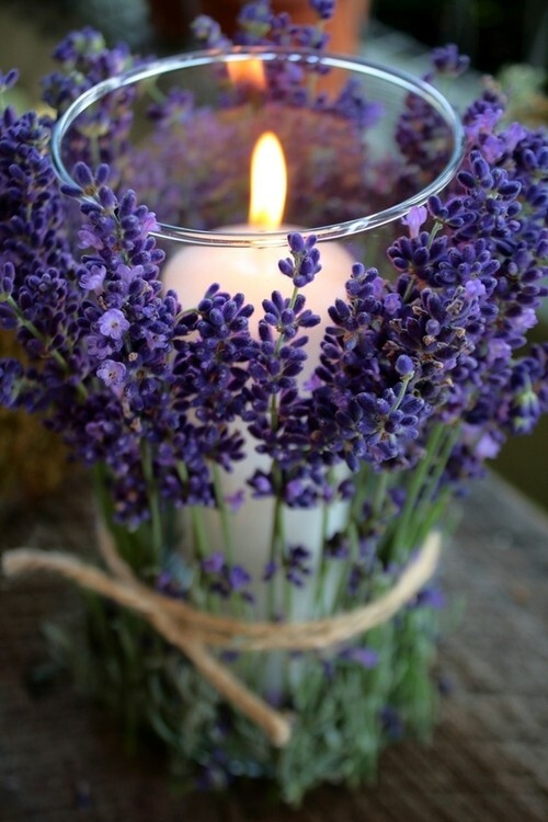 pretty, flowers, lavender and creative
