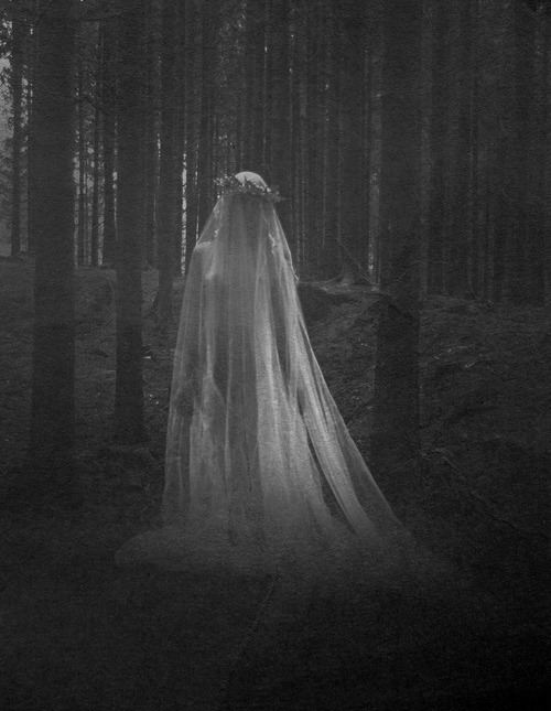 black and white, bride, beautiful and forest