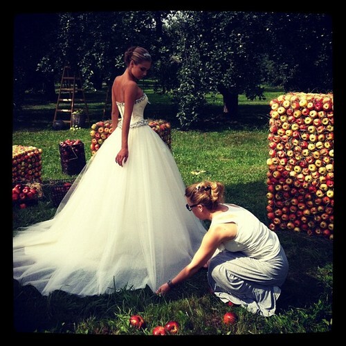 hair, apple, mom and wedding dress