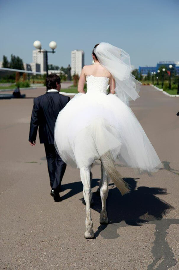 half half, horses, hahah :p and lol