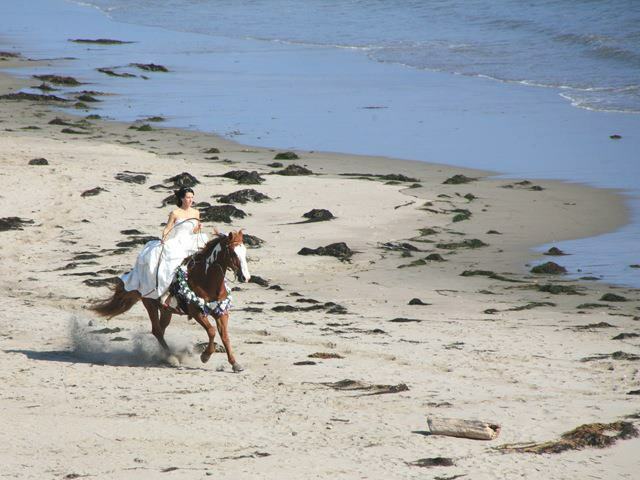 horse on the beach, bride entrance, horse and bride