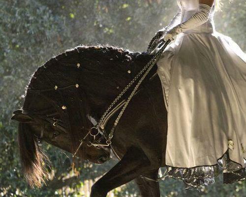 nature, silver and braid