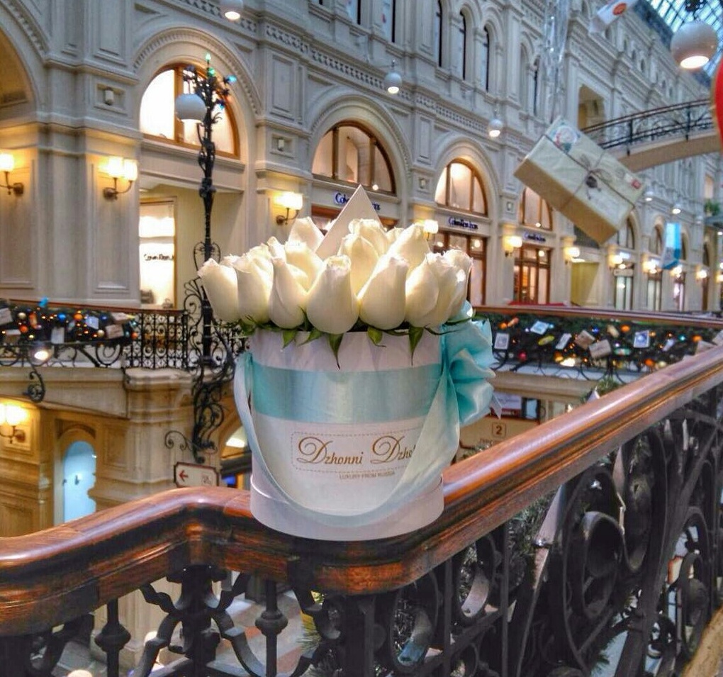 design, classy, amazing and travel