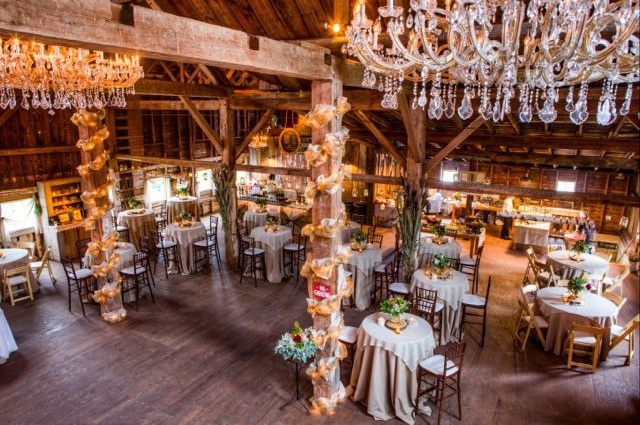 groom, farm and reception