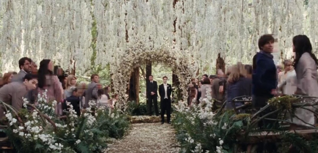 magique, twilight and mariage