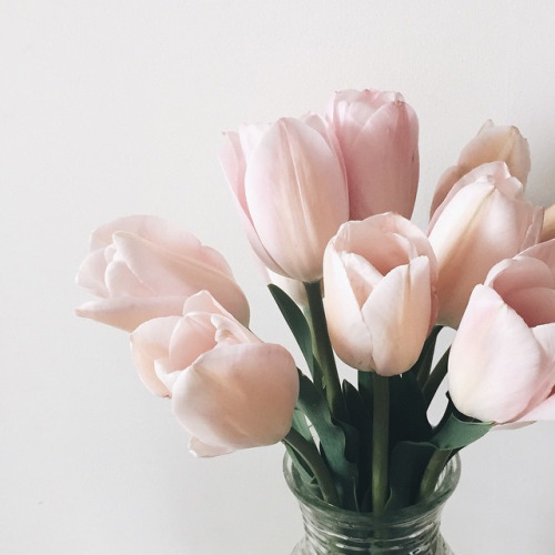 blush pink, pastels, bridal and weddings