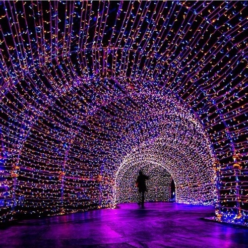 led, winter, christmas and snow