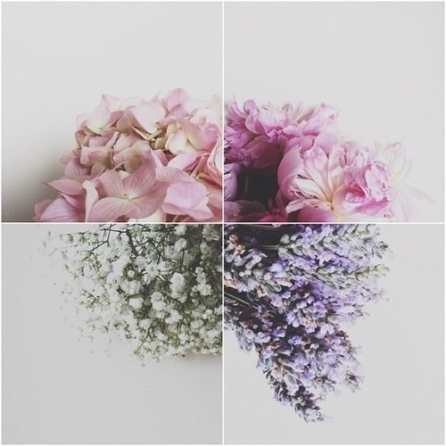 beautiful, pink, flowers and purple