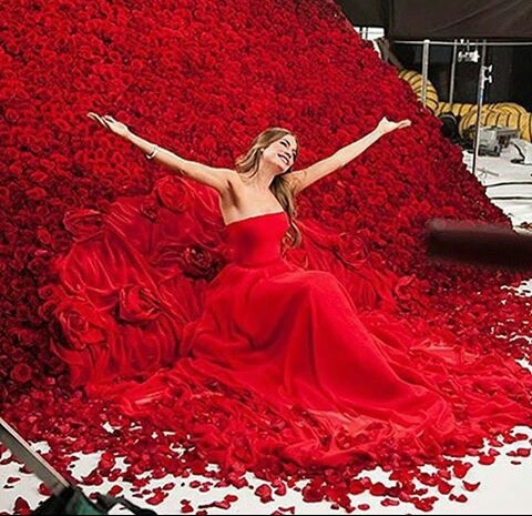 red, long dresse, flowers and glamour