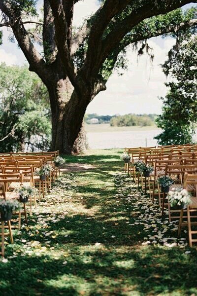romantic, garden and flowers