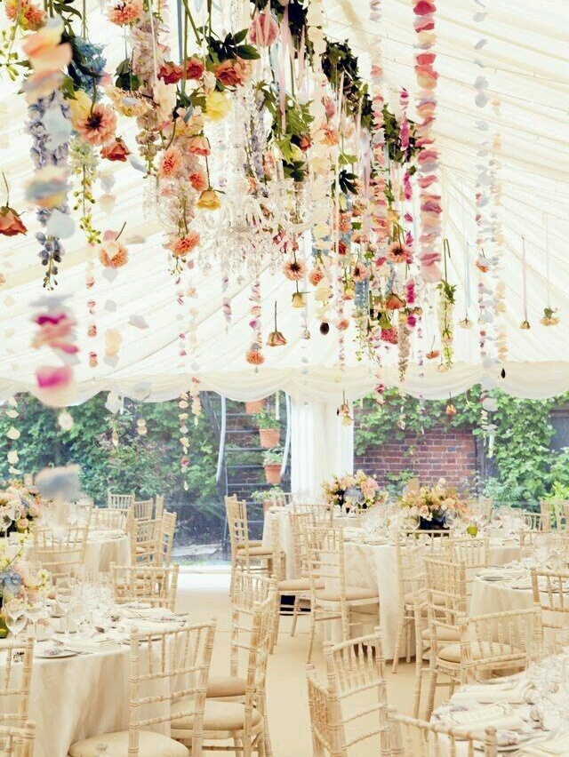 colourful, flowers, floral and beautiful