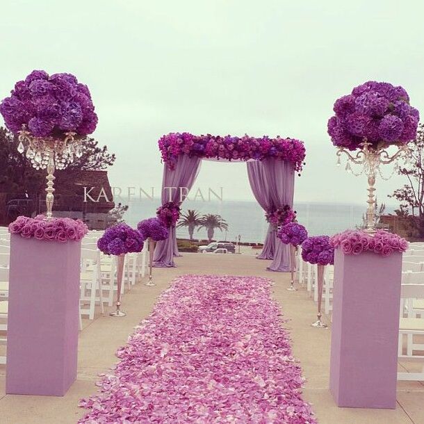 purple, flowers, white and outside