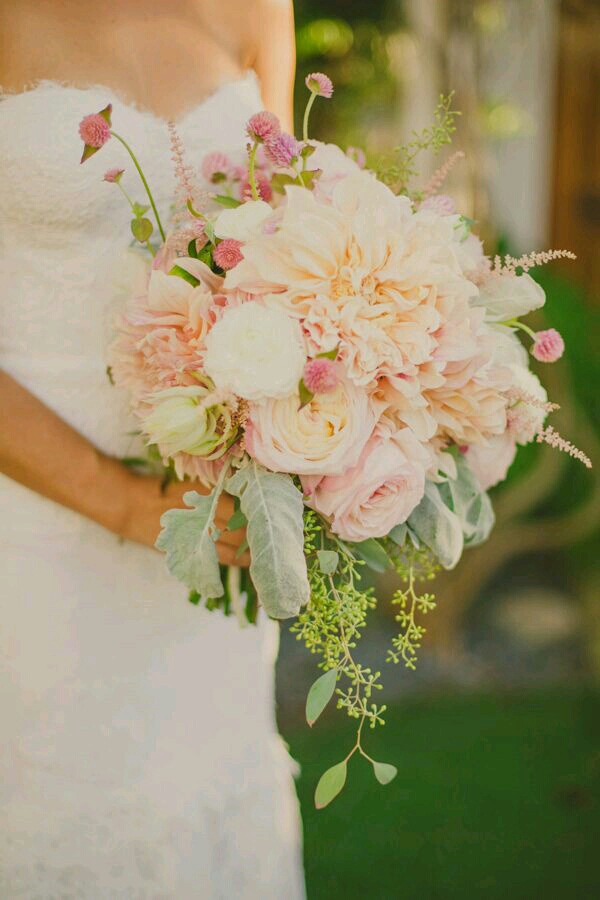 colourful, floral, classic and flowers