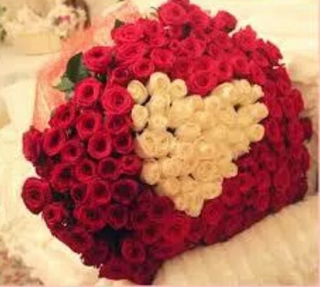 couple, kiss and rose