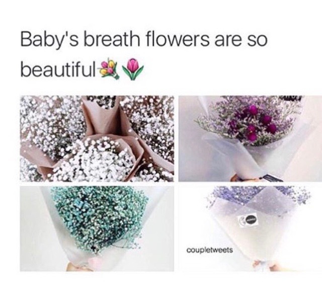 pastel, breath, baby and Prom