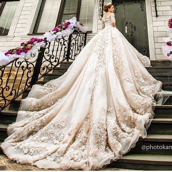 birde, cute, fashion and luxury