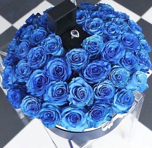 style, roses, blue rose and ring