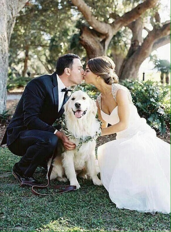 pet, goals, love and matrimony