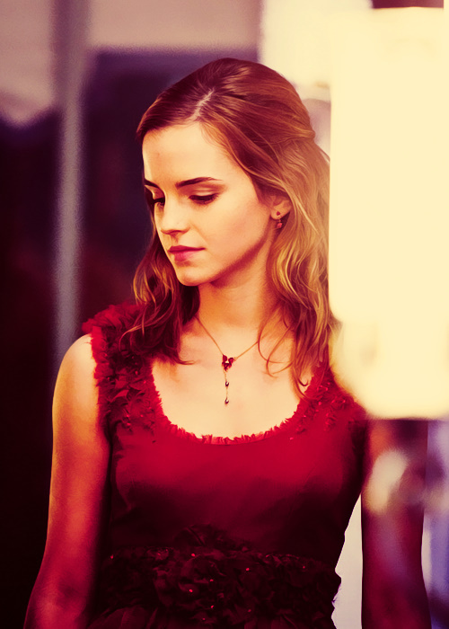 hogwarts, harry potter and hermione granger