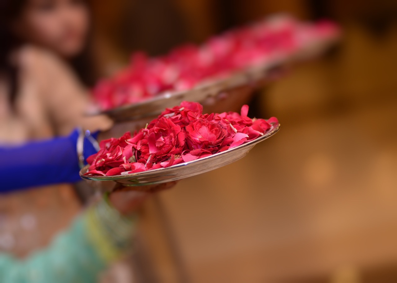 desi, punjabi, pakistani and rose petals