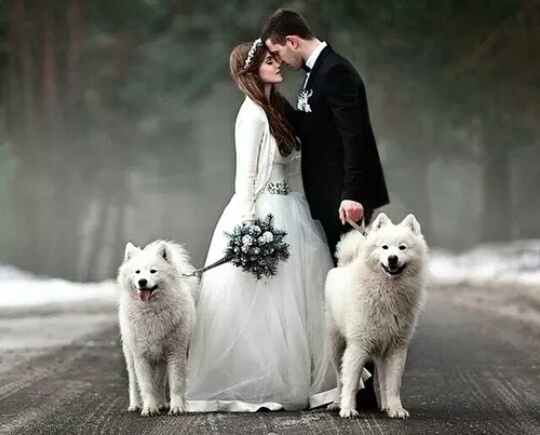 awesome, white and love