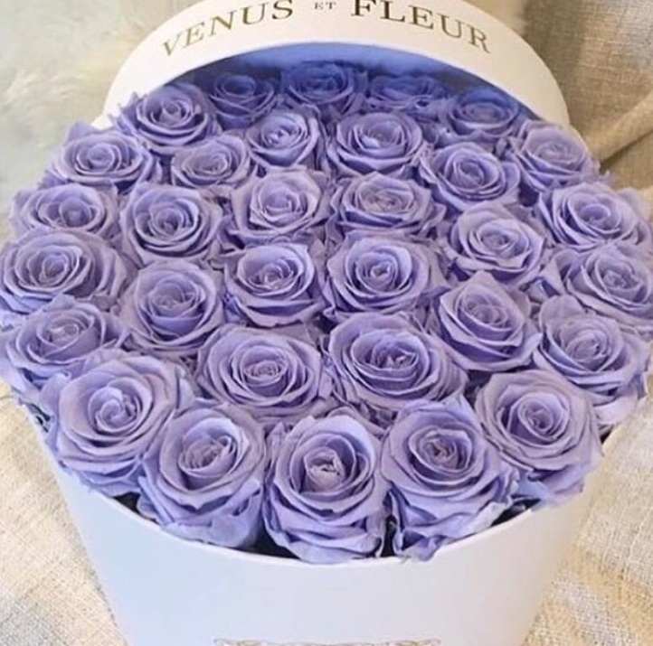 valentines day, flower, purple and girl
