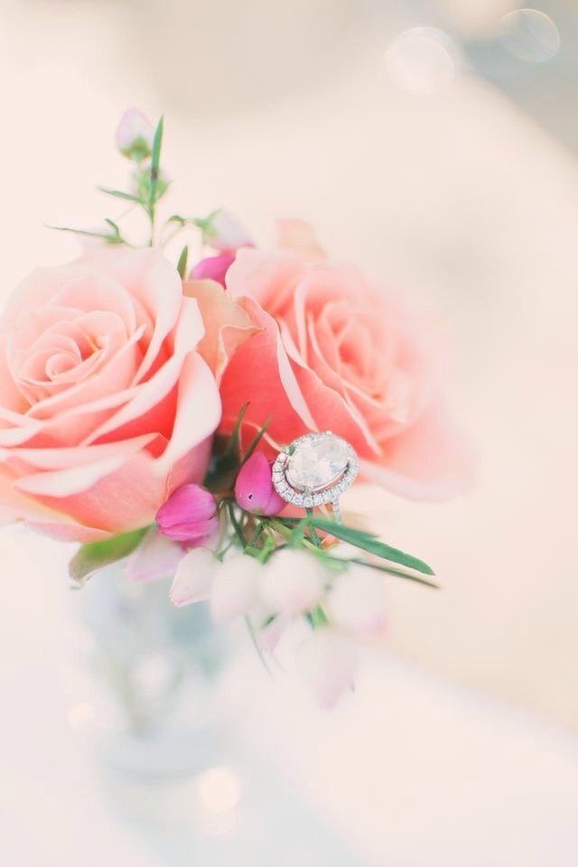 elegant, wedding dress, pretty and princess