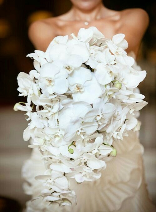 bride, beautiful, bouquet and flowers
