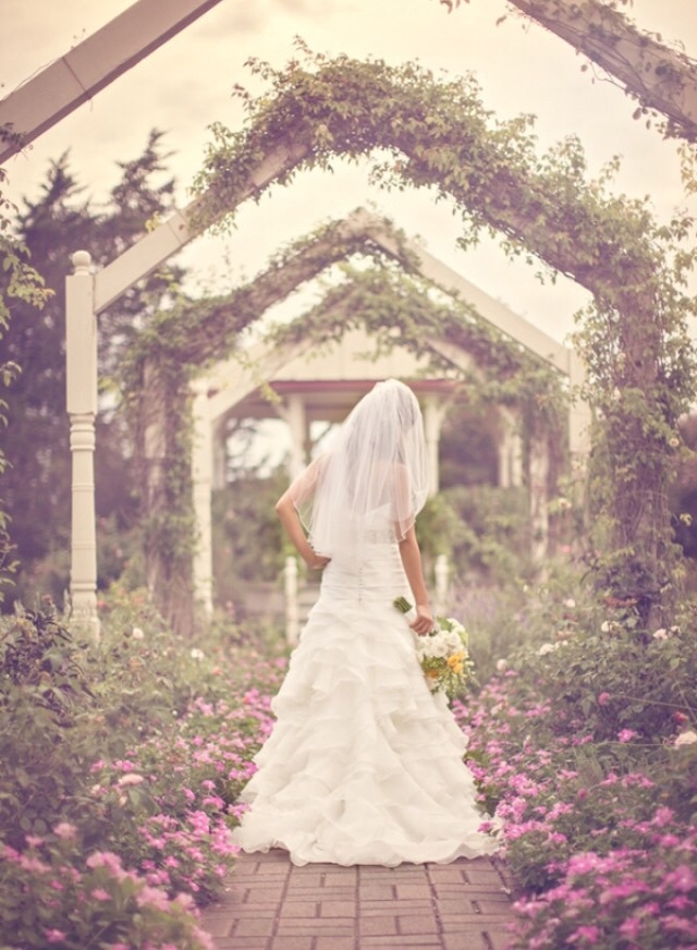 beautiful, architecture, flowers and gardens