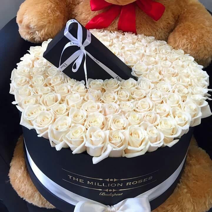 rose, love, present and proposal