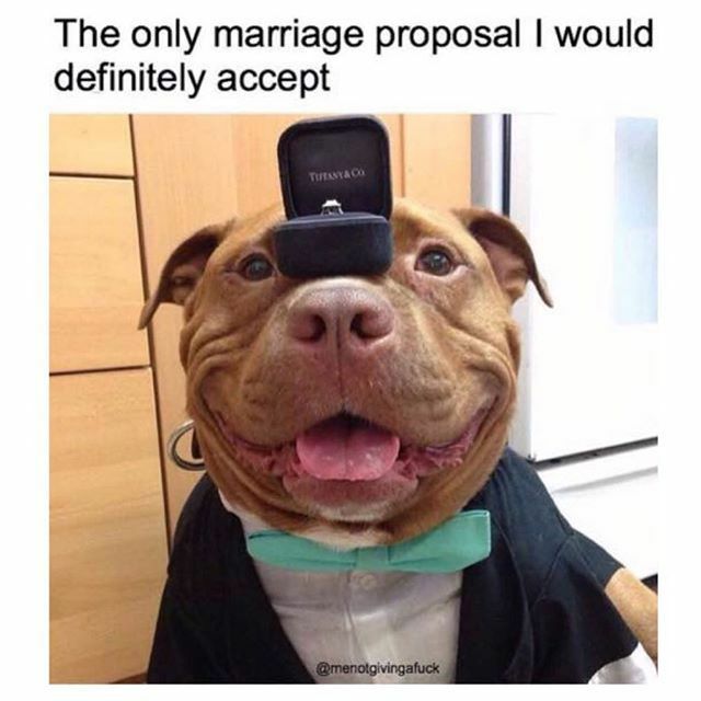 texts, marriage, love and relationships