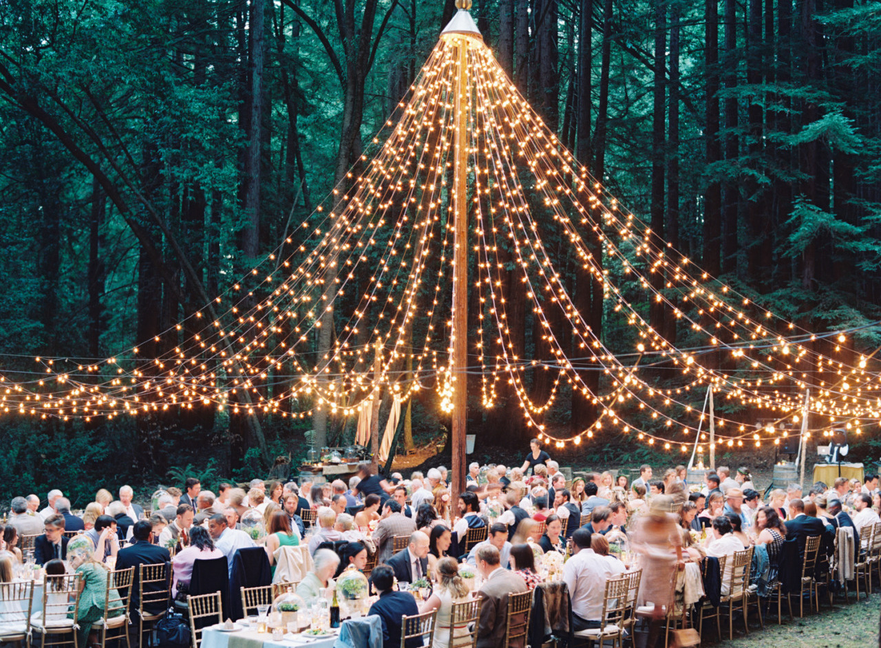 wedding place, woods, party and places