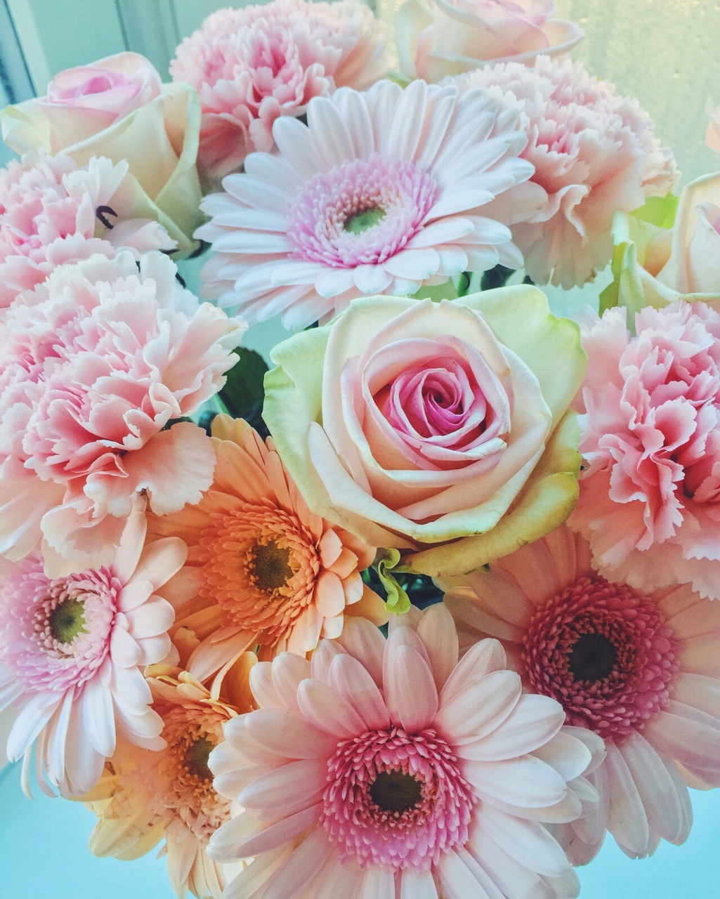 flowers, rich, black and pink