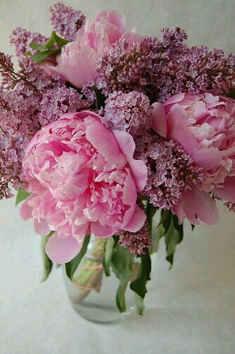pink, aesthetic and flowers