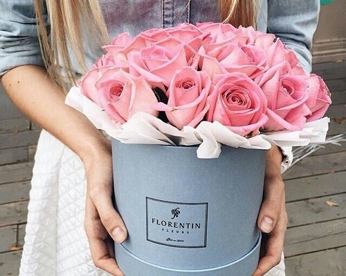 gray, fancy and pink
