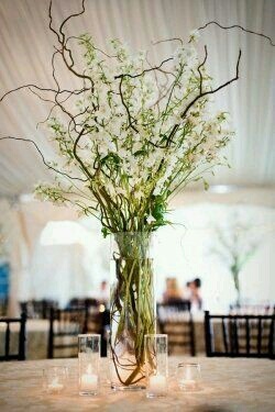 decor, jar and photography