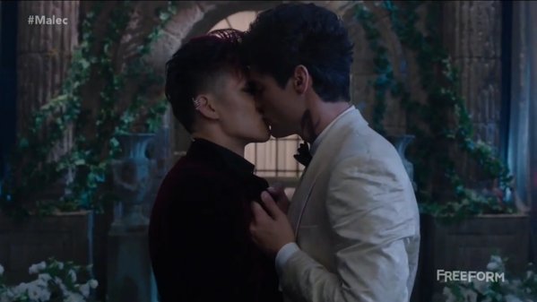 the mortal instruments, shadowhunters and maleç