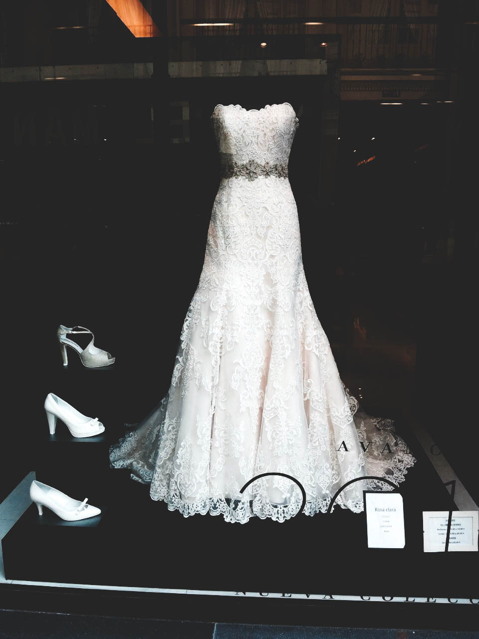beautiful, fashion, wife and i
